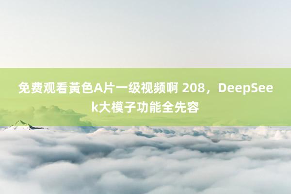 免费观看黃色A片一级视频啊 208，DeepSeek大模子功能全先容